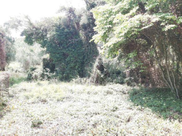Land In Corfu, Greece