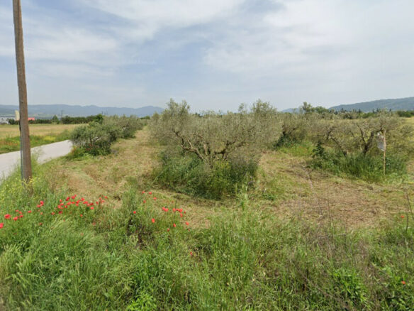 Land In Thermi, Greece