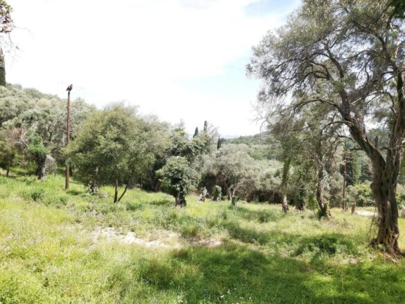 Land In Corfu, Greece