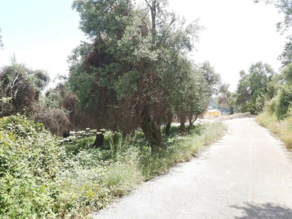 Land In Corfu, Greece