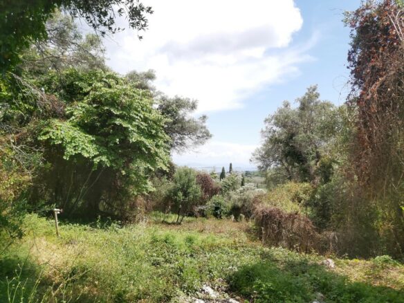 Land In Corfu, Greece