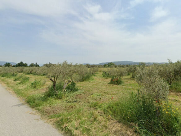 Land In Thermi, Greece