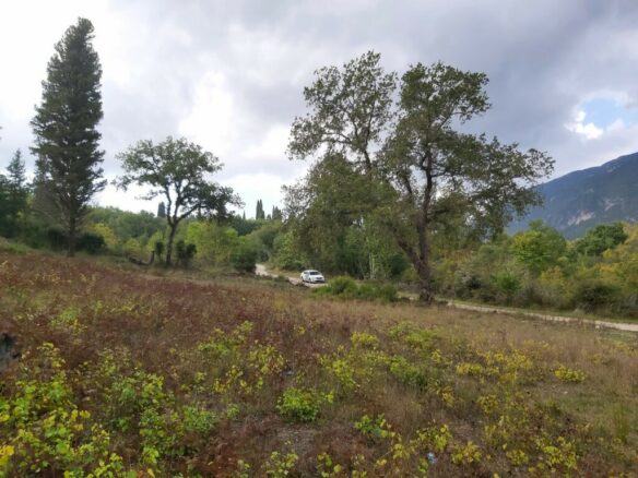 Land In Corfu, Greece