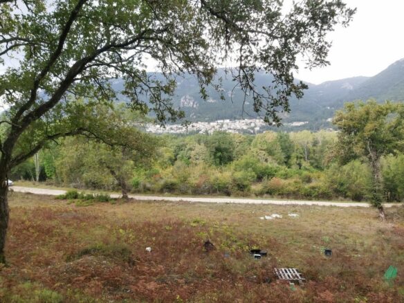 Land In Corfu, Greece