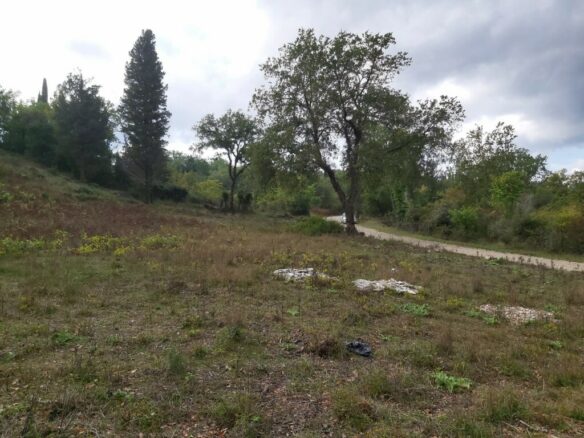 Land In Corfu, Greece
