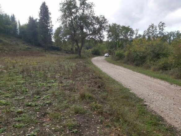 Land In Corfu, Greece