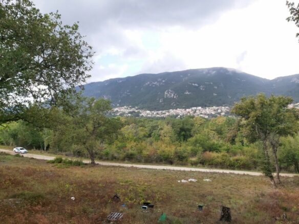 Land In Corfu, Greece