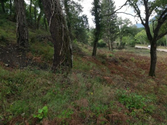 Land In Corfu, Greece