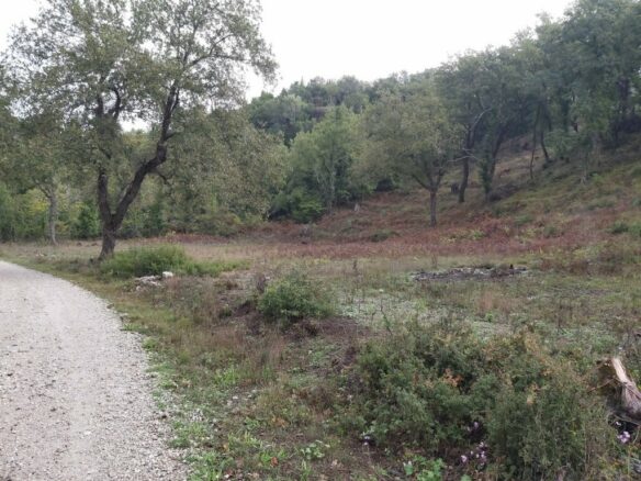 Land In Corfu, Greece