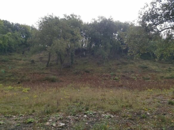 Land In Corfu, Greece