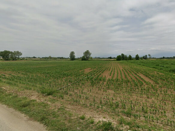 Land In Nigrita, Greece