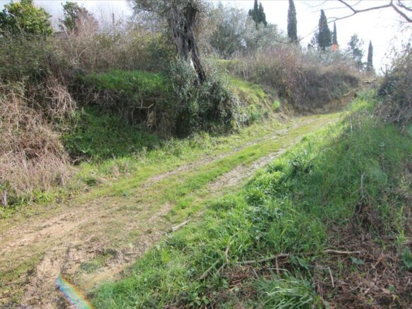 Land In Corfu, Greece