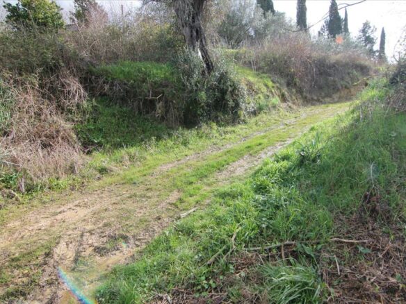 Land In Corfu, Greece