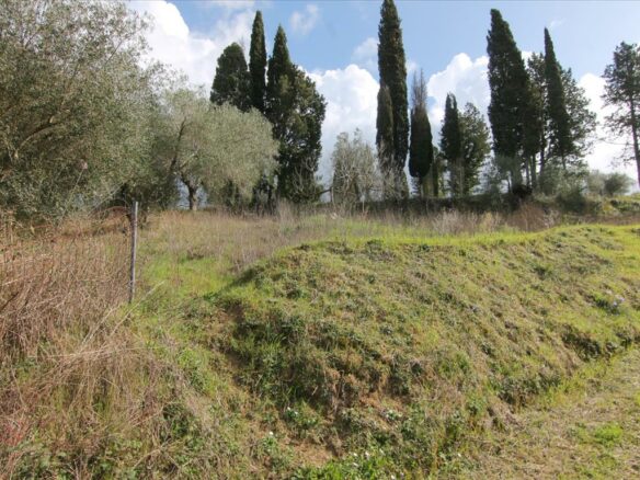 Land In Corfu, Greece