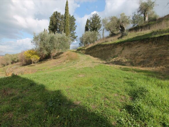 Land In Corfu, Greece