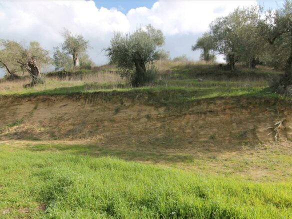 Land In Corfu, Greece