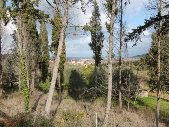 Land In Corfu, Greece