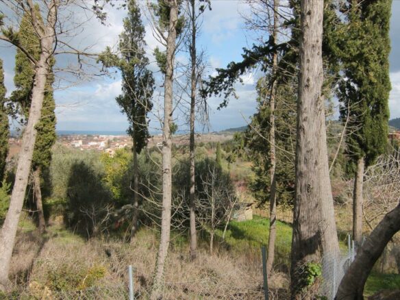 Land In Corfu, Greece