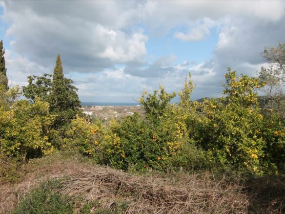 Land In Corfu, Greece