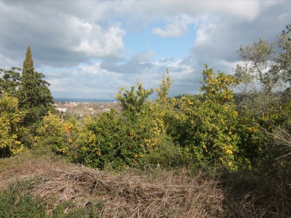 Land In Corfu, Greece
