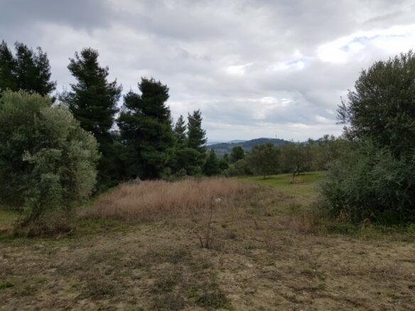 Land In Kassandra, Greece