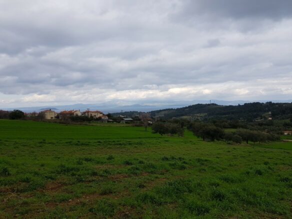 Land In Kassandra, Greece