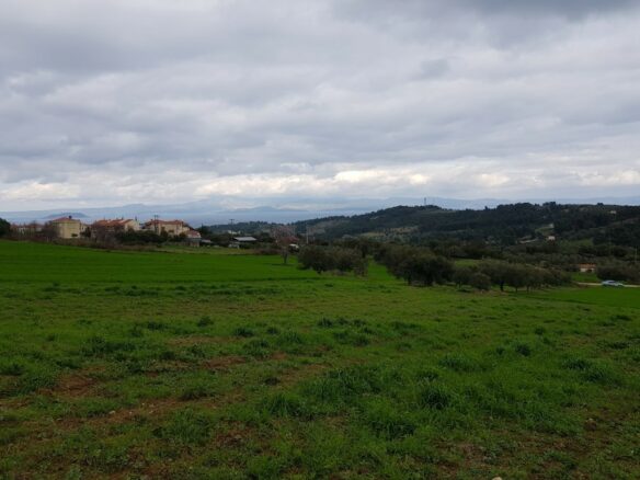 Land In Kassandra, Greece