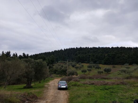 Land In Kassandra, Greece