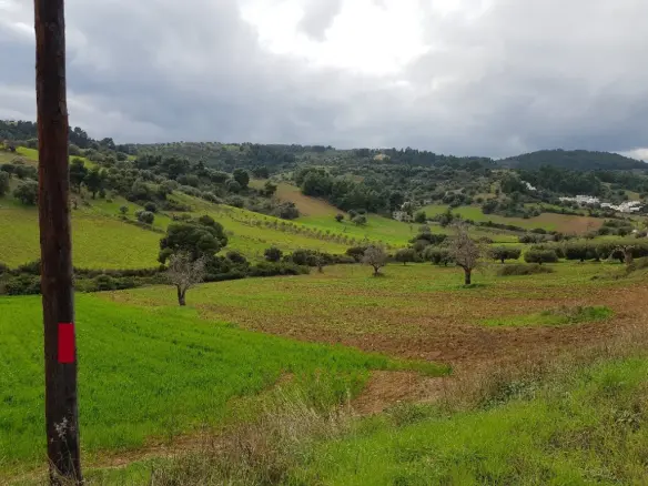 Land In Kassandra, Greece
