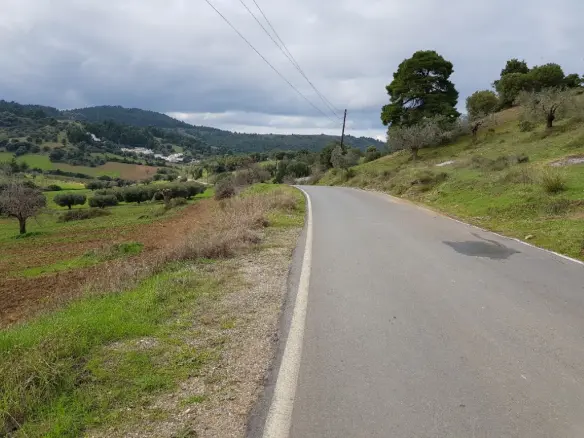 Land In Kassandra, Greece