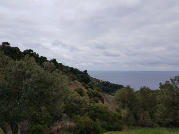 Land In Kassandra, Greece