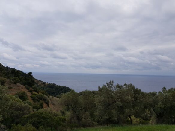 Land In Kassandra, Greece