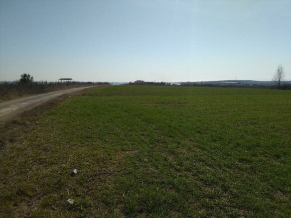 Land In Mikra, Greece