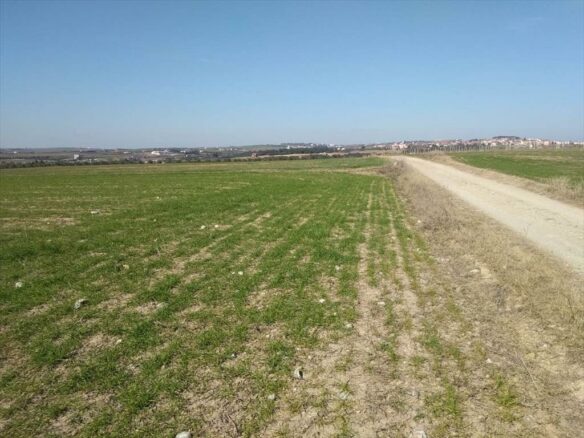 Land In Mikra, Greece