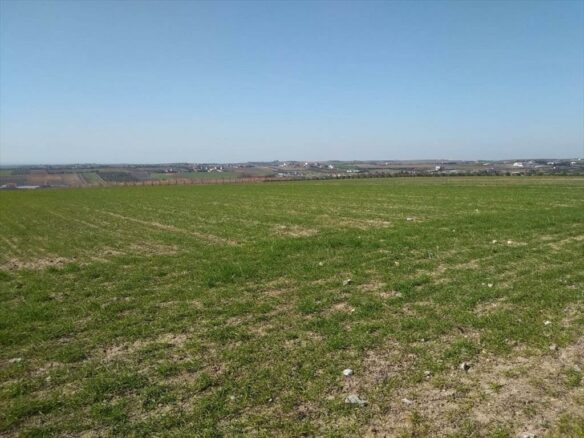 Land In Mikra, Greece