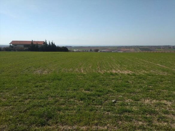 Land In Mikra, Greece