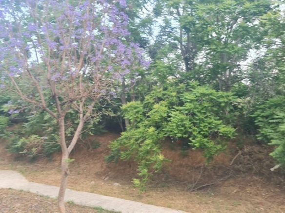 2-bedroom Flat In Kaminia – Palaia Kokkinia, Greece (105 M²)