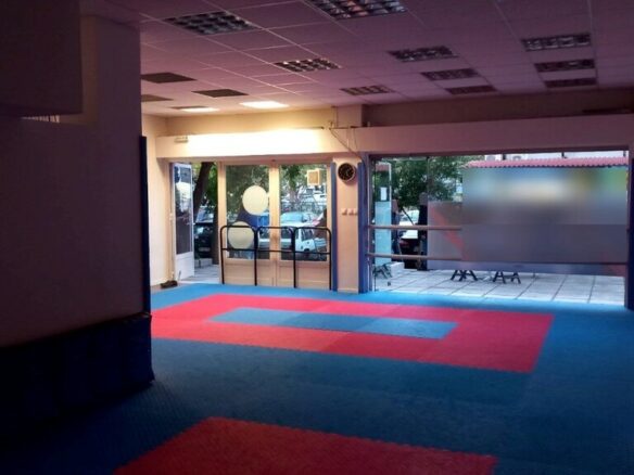 Commercial Property In Voulgari – Ntepo – Martiou, Greece (160 M²)