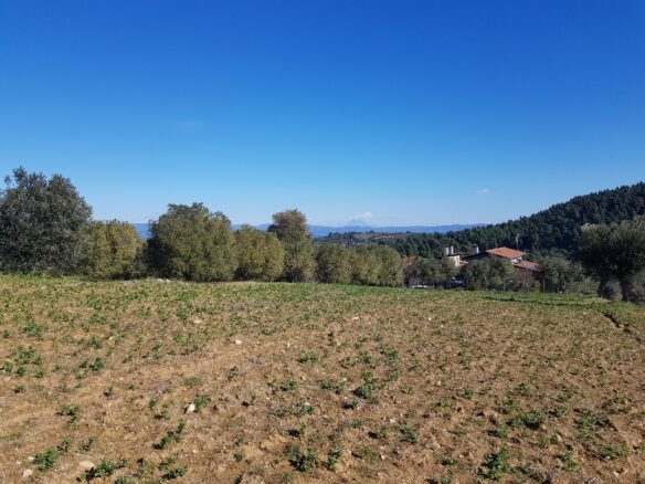 Land In Kassandra, Greece