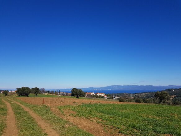Land In Kassandra, Greece