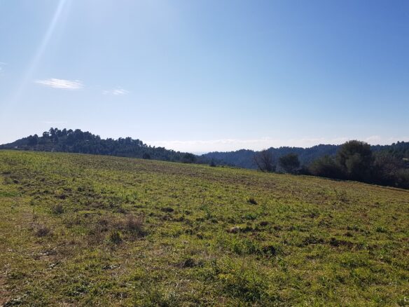 Land In Kassandra, Greece