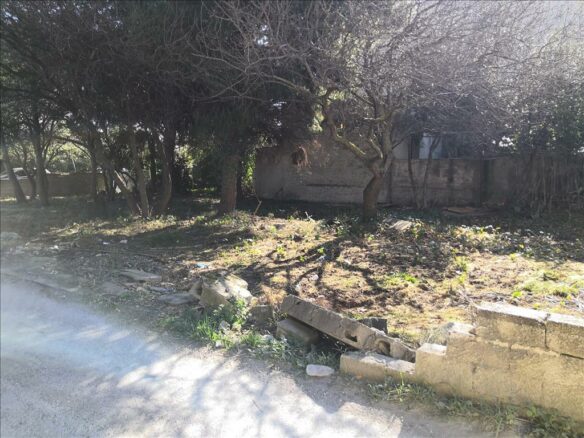 Land In Artemida (loutsa), Greece