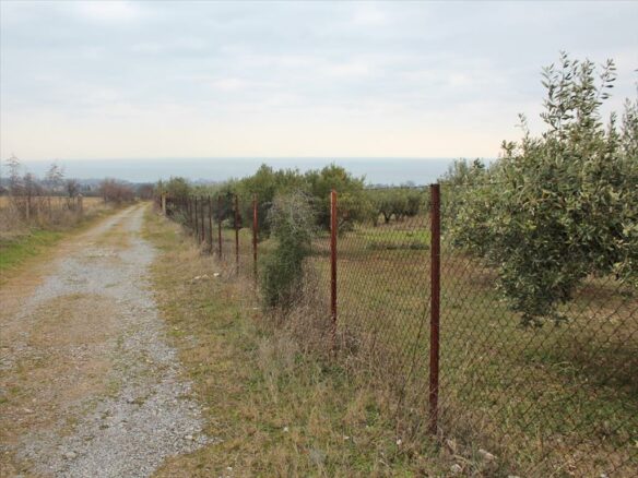 Land In Dion, Greece