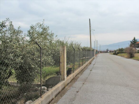Land In Dion, Greece