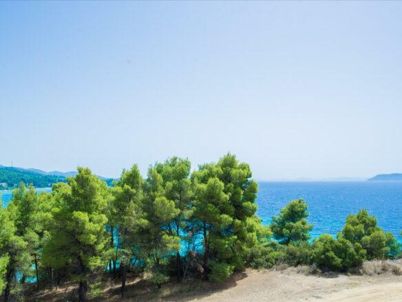 Business In Sithonia, Greece (420 M²)