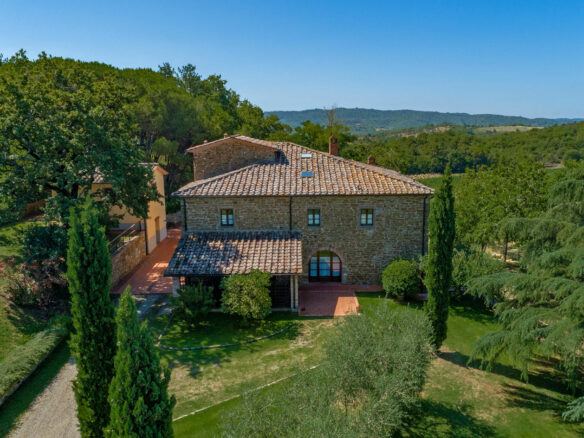 C1460 Vineyard Property Located Near Arezzo In Tuscany