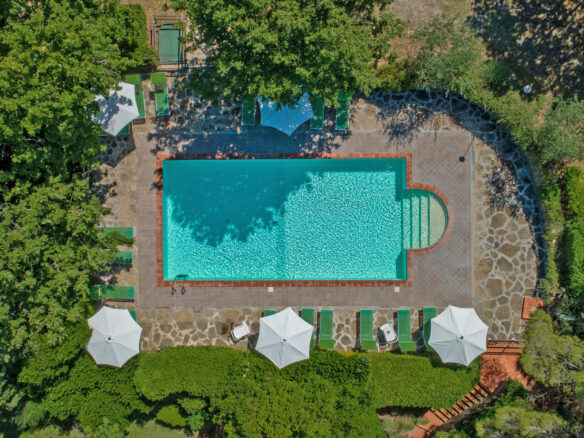 C1460 Vineyard Property Located Near Arezzo In Tuscany