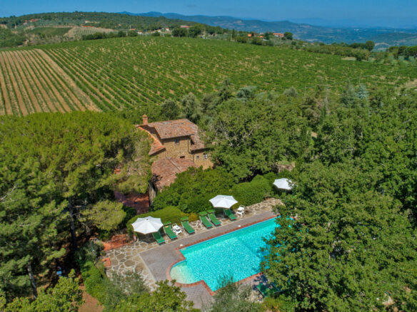 C1460 Vineyard Property Located Near Arezzo In Tuscany