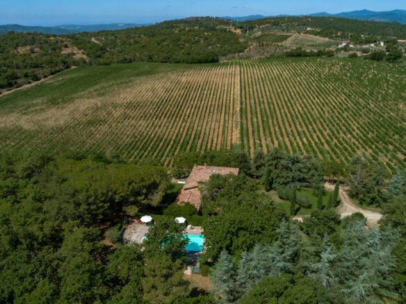 C1460 Vineyard Property Located Near Arezzo In Tuscany