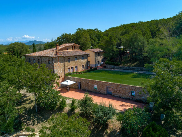 C1460 Vineyard Property Located Near Arezzo In Tuscany
